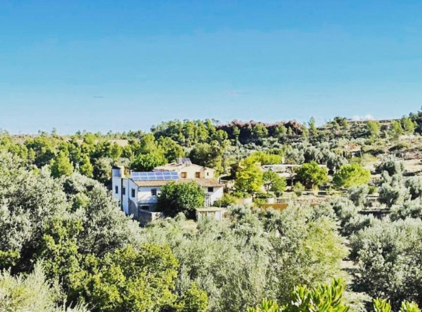 B&B Mas Del Pi Valderrobres Buitenkant foto